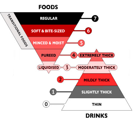Food drink illustration